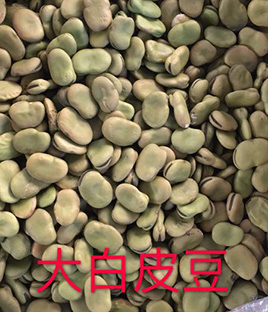 大(dà)白(bái)皮豆